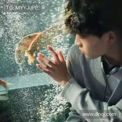 包镇